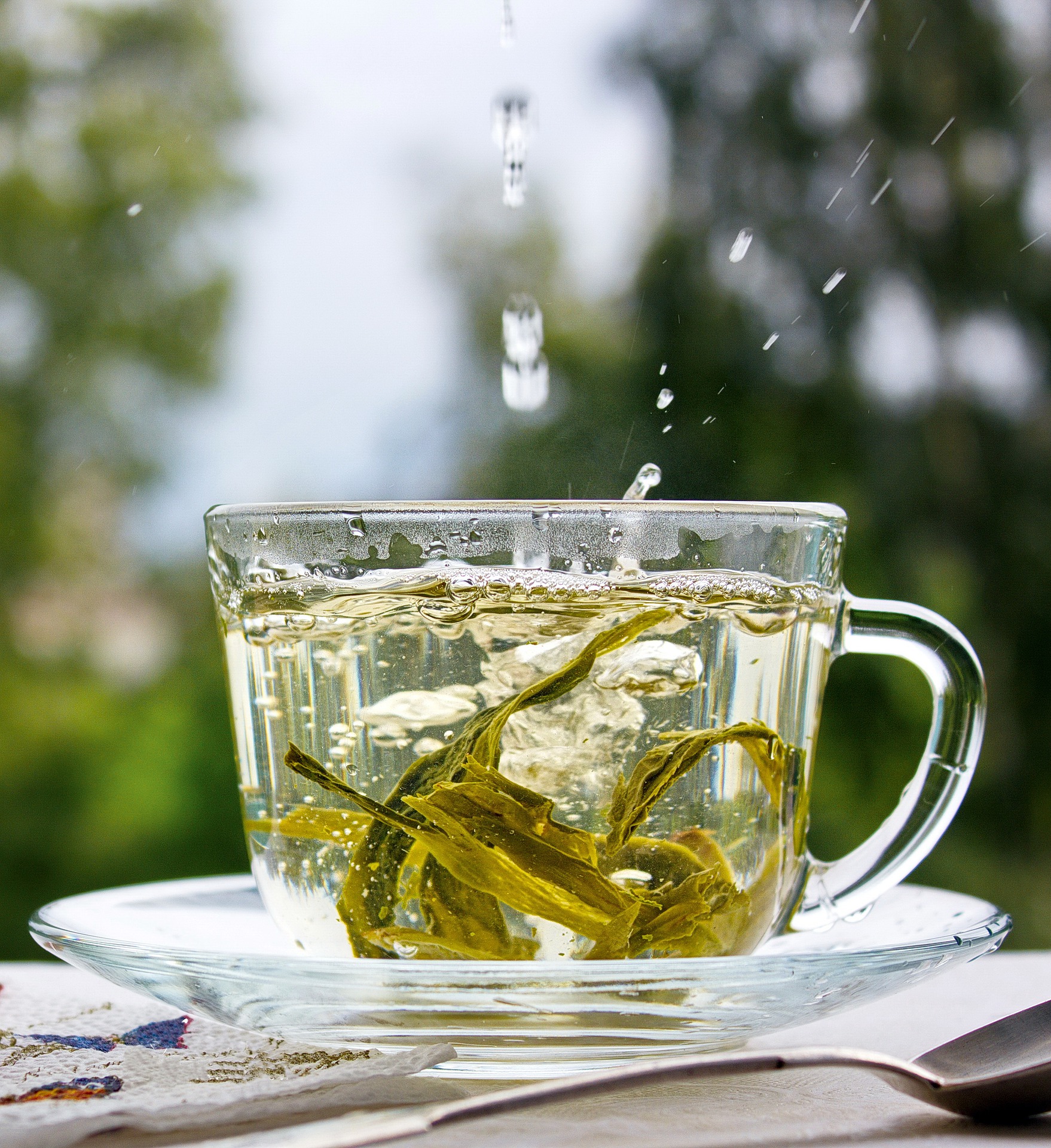 Get Healthy with 12 Possible Benefits of Green Tea